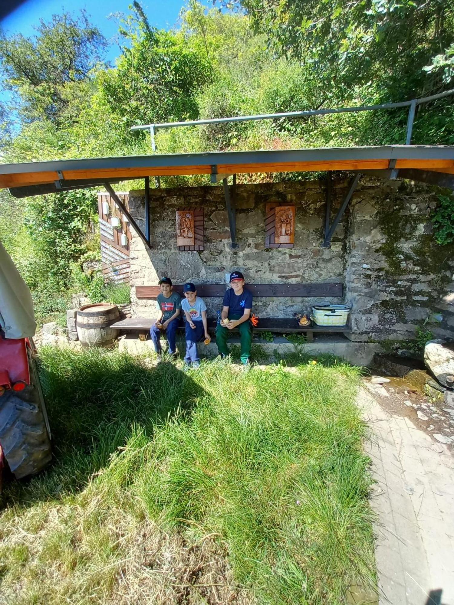 Ferienhaus Heimes Klotten Eksteriør billede